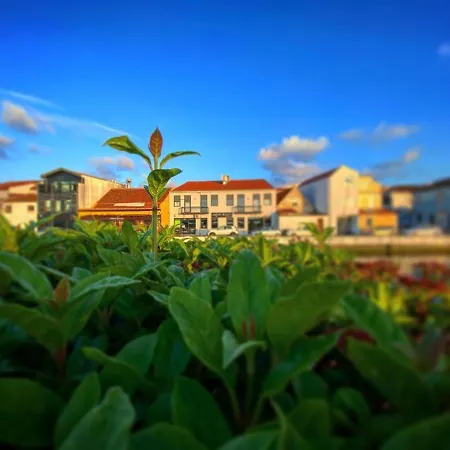 Up Tree Nature Homestay szállás Aveiro