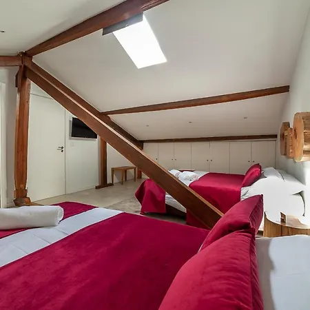 בית אירוח Up Tree Nature