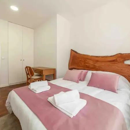 Up Tree Nature Aveiro