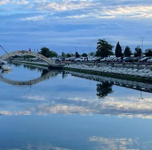 Up Tree Nature Aveiro