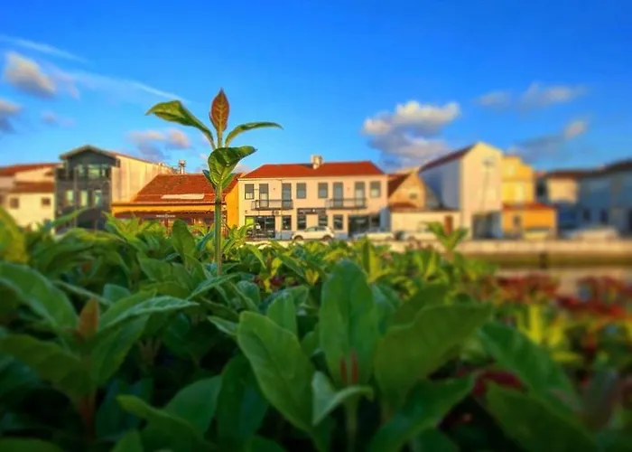 Up Tree Nature Privatunterkunft Aveiro