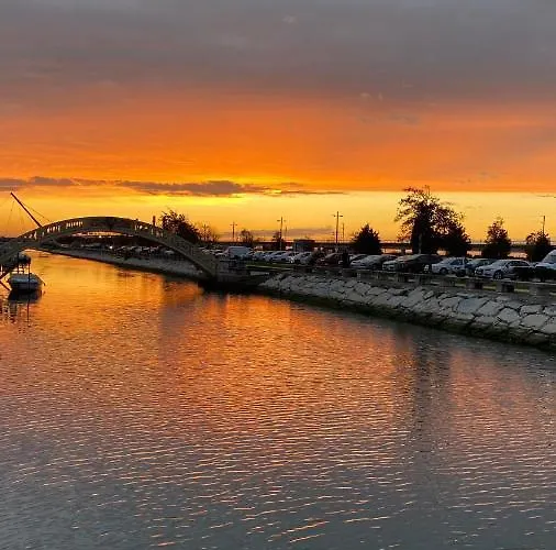 Up Tree Nature Privatunterkunft *