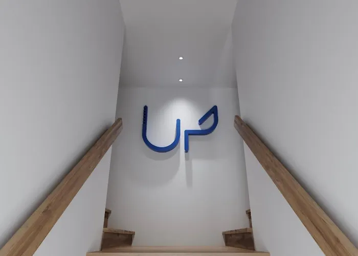 Up Tree Nature * Aveiro