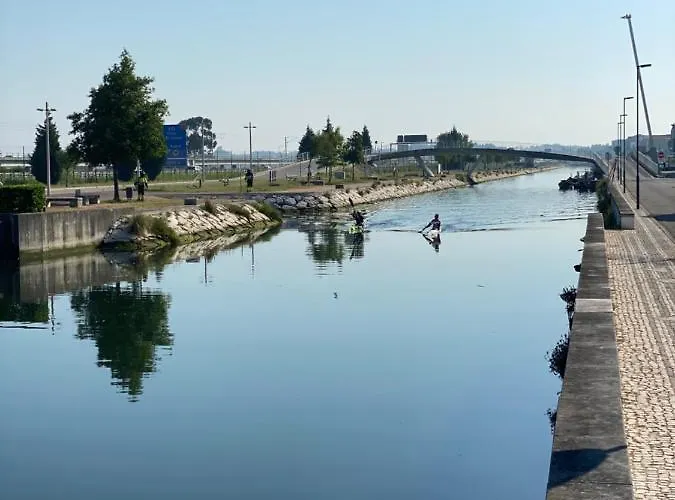 Up Tree Nature Privatunterkunft *