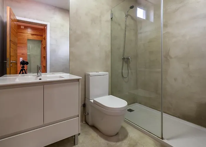 Up Tree Nature Aveiro