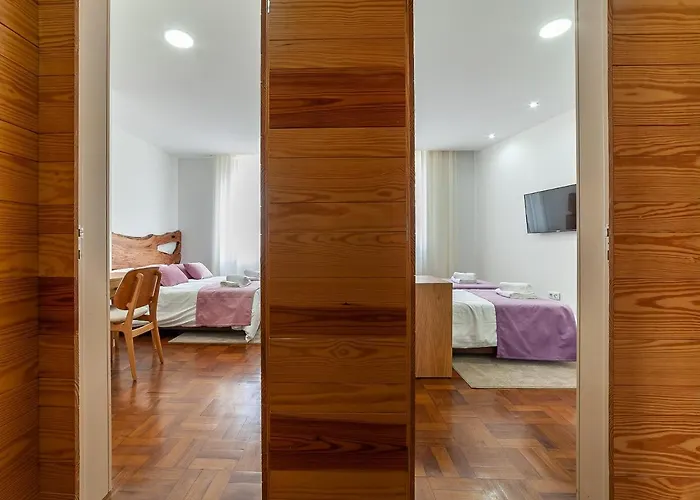 Up Tree Nature Aveiro