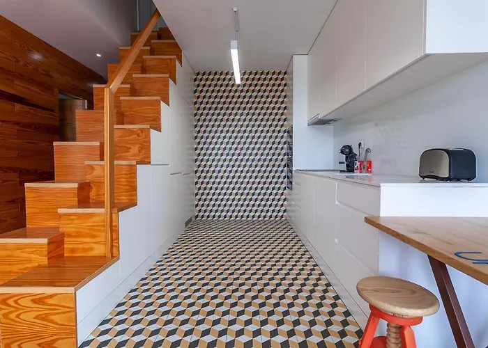 Up Tree Nature Aveiro