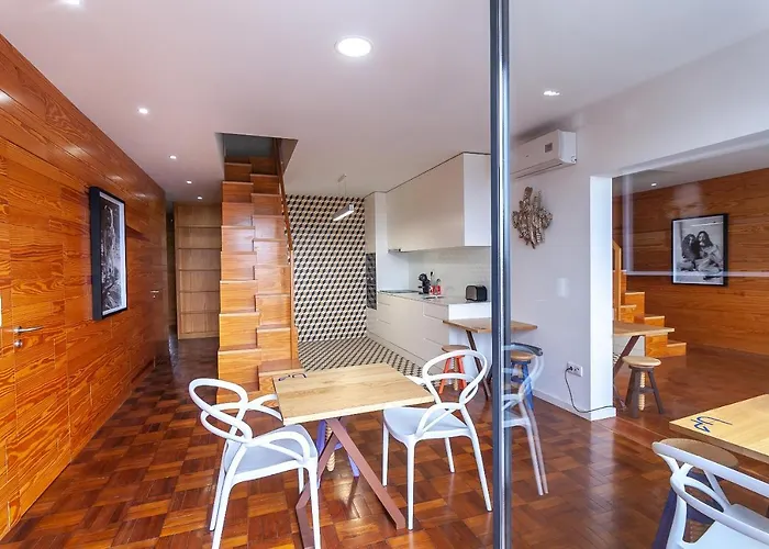 Up Tree Nature Aveiro